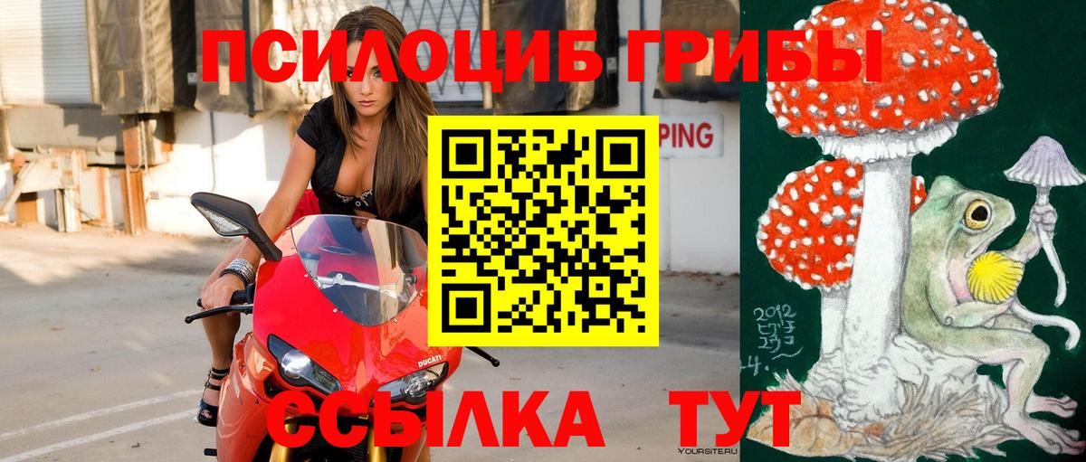 Галлюциногенные грибы MAGIC MUSHROOMS  Вход с VPN  Армавир 